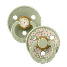 Load image into Gallery viewer, BIBS Dummies Colour STUDIO Collection 2 pack