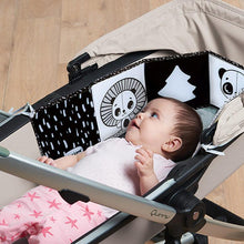 Load image into Gallery viewer, Tiny Love Black & White Decor Double Sided Book