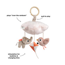 Load image into Gallery viewer, Done by Deer Melody Musical Mobile