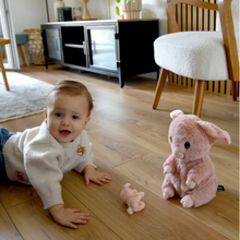 Load image into Gallery viewer, Les Ptipotos Mum & Baby Plush Toys - FARM