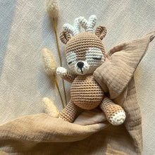 Load image into Gallery viewer, Eyvie Rose Crochet Companion