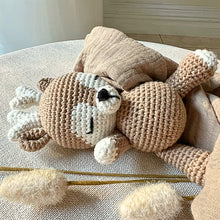 Load image into Gallery viewer, Eyvie Rose Crochet Companion