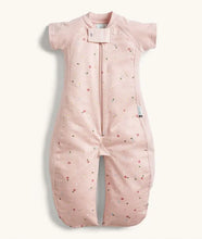 Load image into Gallery viewer, ergoPouch Sleep Suit Bag 1.0 TOG