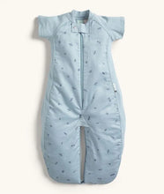 Load image into Gallery viewer, ergoPouch Sleep Suit Bag 1.0 TOG
