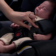 Load image into Gallery viewer, Infasecure Cocoon Go Capsule - Black Fleck