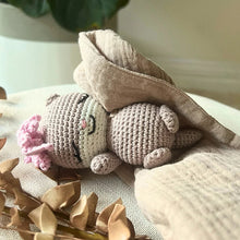 Load image into Gallery viewer, Eyvie Rose Crochet Companion