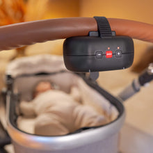 Load image into Gallery viewer, Zazu Robby the Rocker