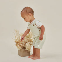 Load image into Gallery viewer, Aster & Oak Sage Chambray Overalls