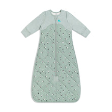 Load image into Gallery viewer, Love to Dream Sleep Bag Organic Cotton / Merino Wool 2.5 TOG