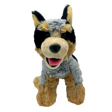 Load image into Gallery viewer, Huggable Toys Cobber Blue Healer