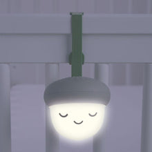 Load image into Gallery viewer, Skip Hop Glow With Me Portable Acorn Sound Machine