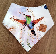 Load image into Gallery viewer, Ziggy Rose PUL Bandana Bibs
