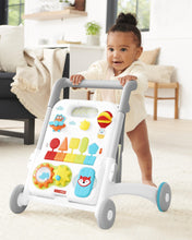 Load image into Gallery viewer, Skip Hop Explore & More Grow Along 4-in-1 Activity Walker