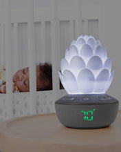 Load image into Gallery viewer, Skip Hop Terra Cry-Activated Soother