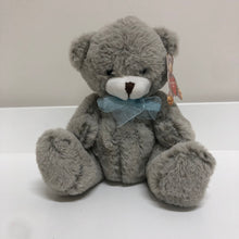 Load image into Gallery viewer, Huggable Toys Eco Hugs 20cm Bear