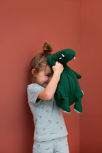 Load image into Gallery viewer, Trixie Plush Toy