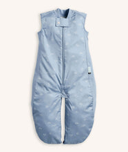 Load image into Gallery viewer, ergoPouch Sleep Suit Bag 0.3 TOG
