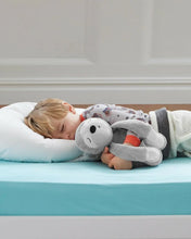 Load image into Gallery viewer, Skip Hop Cry-Activated Soother