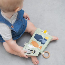Load image into Gallery viewer, Trixie Soft Book