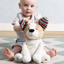 Load image into Gallery viewer, Zazu Danny the Flapping Dog