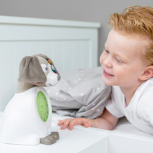 Load image into Gallery viewer, Zazu Sleeptrainer