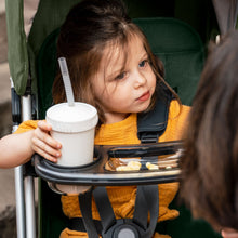 Load image into Gallery viewer, UPPAbaby MINU V3