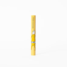 Load image into Gallery viewer, Matchstick Monkey Baby Electric Sonic Toothbrush
