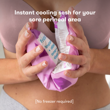 Load image into Gallery viewer, Frida Mom Cold Pads + Postpartum Underwear

