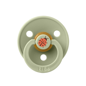 BIBS Dummies Colour STUDIO Collection 2 pack