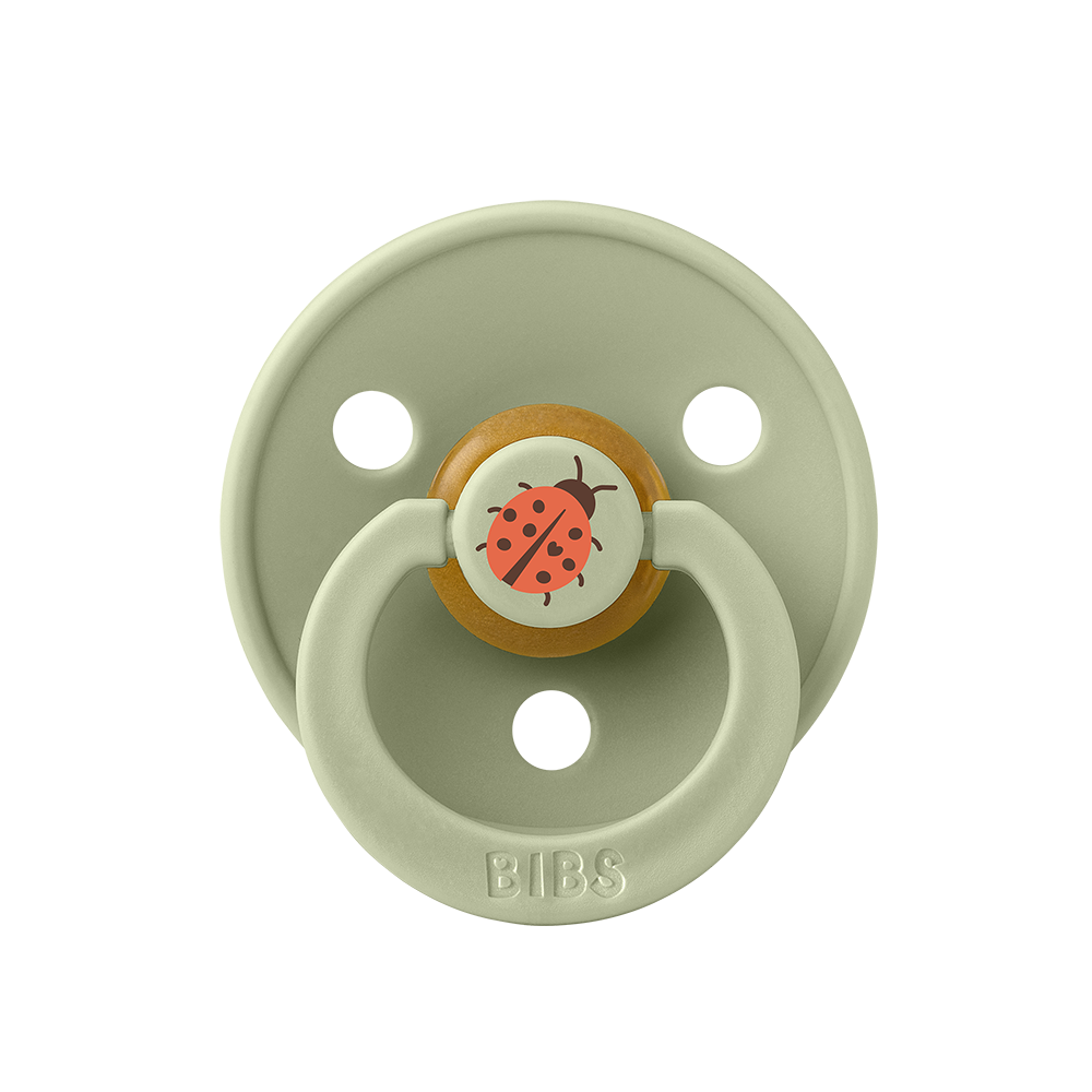 BIBS Dummies Colour STUDIO Collection 2 pack