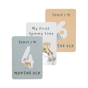 Living Textiles Milestone Cards