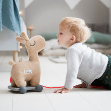 Load image into Gallery viewer, Done by Deer Pull a Long 2-in-1 Toy - Lalee
