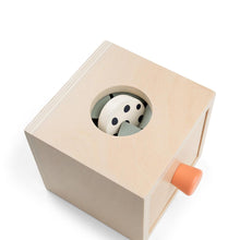 Load image into Gallery viewer, Done by Deer Nozo Hide &amp; Find Box
