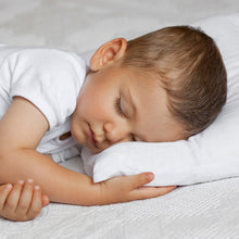 Load image into Gallery viewer, Living Textiles Toddler Pillow
