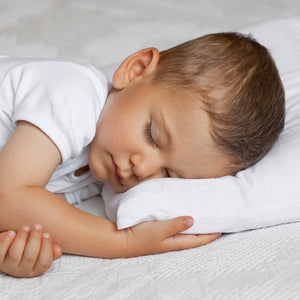 Living Textiles Toddler Pillow