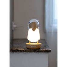 Load image into Gallery viewer, Bubble Toucan Night Light
