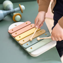 Load image into Gallery viewer, FLEXA Play Musical Toy Sets
