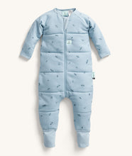 Load image into Gallery viewer, ergoPouch Sleep Onesie 2.5 TOG
