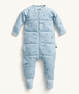 ergoPouch Sleep Onesie 2.5 TOG