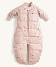 Load image into Gallery viewer, ergoPouch Sleep Suit Bag 2.5 TOG
