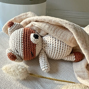 Eyvie Rose Crochet Companion