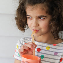 Load image into Gallery viewer, BBox Reusable Silicone Straws
