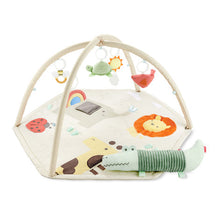 Load image into Gallery viewer, Skip Hop Geometric Wonders Activity Gym
