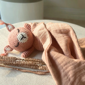 Eyvie Rose Crochet Companion