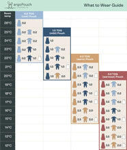 Load image into Gallery viewer, ergoPouch Sleep Onesie 2.5 TOG
