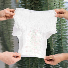 Load image into Gallery viewer, Belly Bands Disposable Absorbent Underwear - 5 pack
