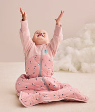 Load image into Gallery viewer, Love to Dream Sleep Bag Organic Cotton / Merino Wool 2.5 TOG
