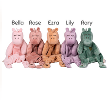 Load image into Gallery viewer, Schnorg Baby Mini Schnorglesaurus Sensory Comforters
