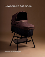 Load image into Gallery viewer, Mountain Buggy Carrycot Plus v4 - Terrain™
