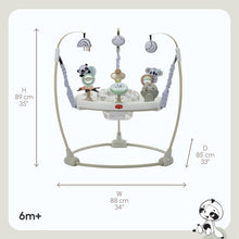 Load image into Gallery viewer, Tiny Love Black &amp; White Decor 4-in-1 Jump &amp; Play Activity Centre
